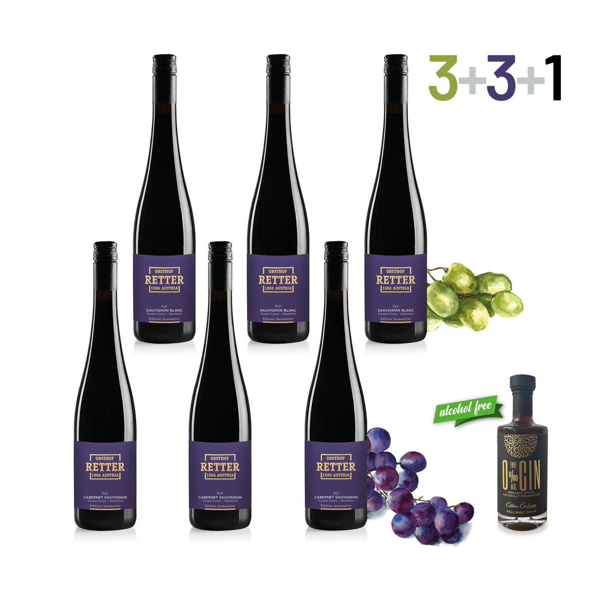 FLY Fruchtessenz - 6er Genusspaket