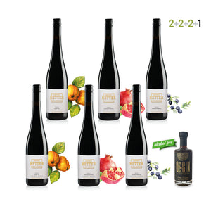 WILD Fruchtessenz - 6er Genusspaket