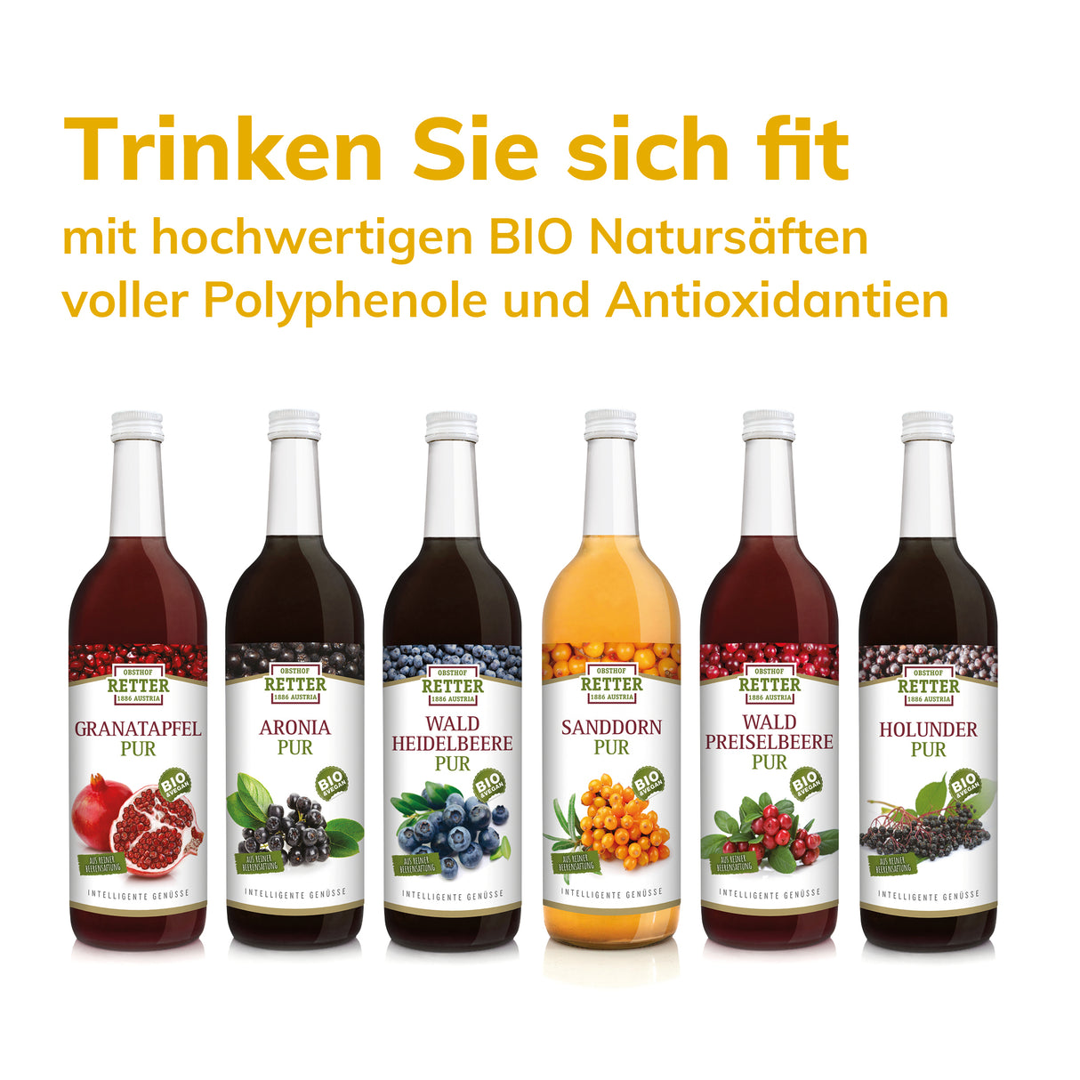 BIO Superfruit Saftkur